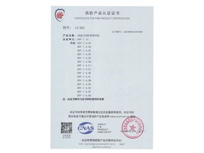 軸流式消防（fáng）排（pái）煙風機HTF-I-11